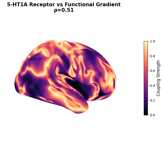 Coupling Brain Map