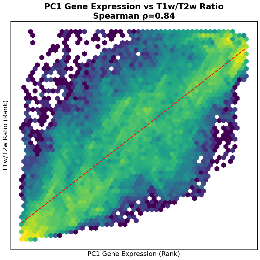 Ranked Scatter Plot